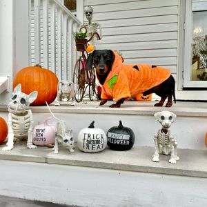 Meet your Posher, Christian